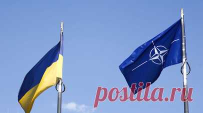 Политолог Дудчак: Данилов напоминает Западу о том, что Украина исполняет его заказ. Политолог Александр Дудчак в беседе с RT прокомментировал заявление главы СНБО Алексея Данилова о том, что Киев ждёт от стран Запада взрослого поведения. Читать далее