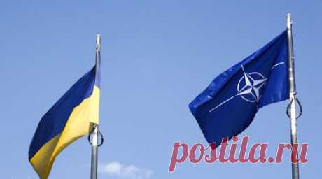Политолог Дудчак: Данилов напоминает Западу о том, что Украина исполняет его заказ. Политолог Александр Дудчак в беседе с RT прокомментировал заявление главы СНБО Алексея Данилова о том, что Киев ждёт от стран Запада взрослого поведения. Читать далее