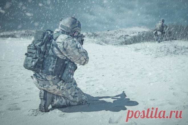 Глава Минобороны Франции оценил участие французов в конфликте на Украине. Ранее стало известно об уничтожении нескольких десятков французских наемников в Харькове.