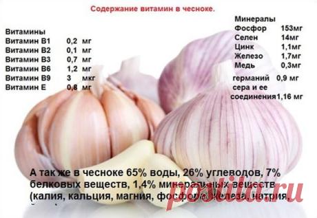 ЧИСТКА ЧЕСНОКОМ

"Были мы с подругой на выставке косметики. Целый день ходили. Всё очень интересно. Но устали и решили попить чайку с бутербродами. Подруга достала термос. Сидим, пьём. Рядом присела женщина. Подруга предложила ей чаю. Женщина не отказалась. Завязалась беседа.

Женщина нам говорит: "Девочки, вы такие молодые! Зачем вам косметика!" На что мы удивились: "Мы молодые? Да у нас куча болячек!" Не успели мы сказать, каких болячек, как эта женщина сама назвала нам ...