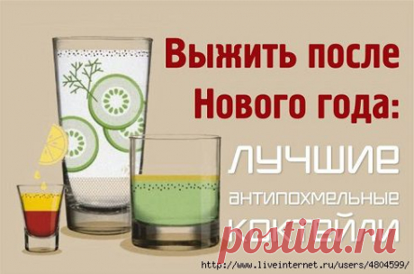 Выжить после Нового года: лучшие антипохмельные коктейли