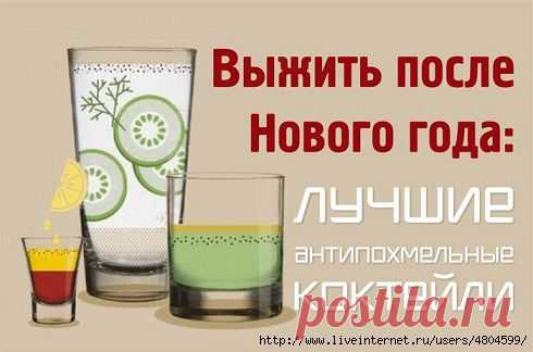 Выжить после Нового года: лучшие антипохмельные коктейли