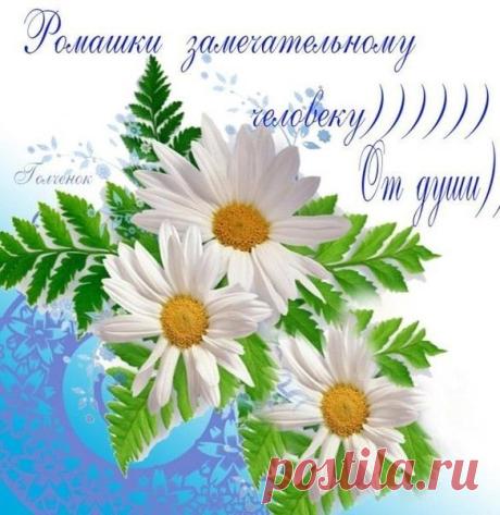 Картинка из галереи поздравлений