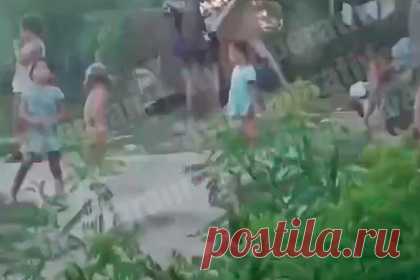 На Украине дети цыган остановили поезд и забросали его камнями. Несколько десятков цыганских детей остановили поезд в районе Киева и забросали его камнями. Как рассказали очевидцы, несовершеннолетние положили на железнодорожные пути большое дерево, а после того, как состав остановился, начали громить окна. Многим из нападавших не было и 10 лет.