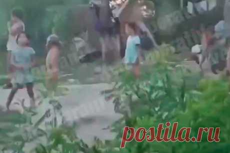 На Украине дети цыган остановили поезд и забросали его камнями. Несколько десятков цыганских детей остановили поезд в районе Киева и забросали его камнями. Как рассказали очевидцы, несовершеннолетние положили на железнодорожные пути большое дерево, а после того, как состав остановился, начали громить окна. Многим из нападавших не было и 10 лет.