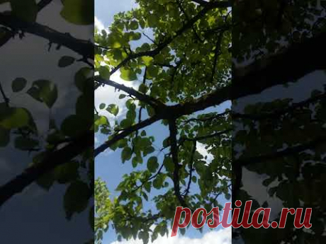 Хочу лето - YouTube
