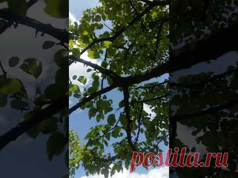 Хочу лето - YouTube