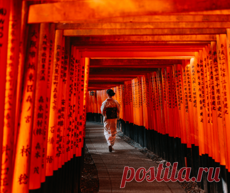 What Does Tori Mean in Japanese? Kanji, Name & More - Sparrow finds from Japan