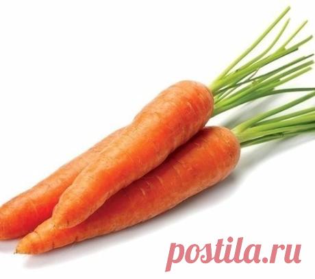 Необычный способ посадки моркови!