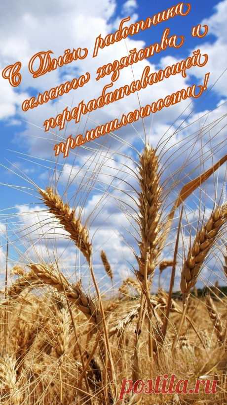 Работа у вас непростая,
Мы ценим нелегкий ваш труд.
Безбедной вам жизни желаю,
Пусть дома вас любят и ждут.