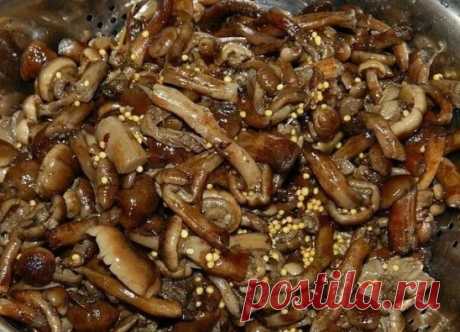 САМЫЕ ВКУСНЫЕ МАРИНОВАННЫЕ ОПЯТА! 
Грибы ненадолго замачиваем. Эта операция поможет отмыть наши опята от грязи, песка и характерных пятнышек на шляпке. 
После этого замачивания грибы промываем под струей холодной воды. 
Отвариваем опята в течении 25 - 30 минут в подсоленой воде 
Одновременно готовим маринад для маринования грибов, в нашем случае опят. Но, по этому рецепту можно приготовить любые грибы, 
пригодные для маринования (белые грибы, подберезовики, подосиновики, моховики, маслята и п