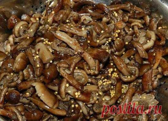 САМЫЕ ВКУСНЫЕ МАРИНОВАННЫЕ ОПЯТА! 
Грибы ненадолго замачиваем. Эта операция поможет отмыть наши опята от грязи, песка и характерных пятнышек на шляпке. 
После этого замачивания грибы промываем под струей холодной воды. 
Отвариваем опята в течении 25 - 30 минут в подсоленой воде 
Одновременно готовим маринад для маринования грибов, в нашем случае опят. Но, по этому рецепту можно приготовить любые грибы, 
пригодные для маринования (белые грибы, подберезовики, подосиновики, моховики, маслята и п