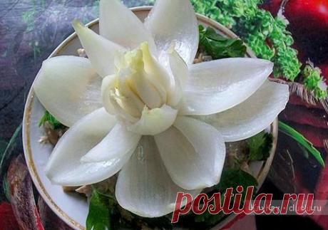 Карвинг bp овощей и фруктов для начинающих. Цветок из лука / Карвинг из овощей и фруктов - фото, видео для начинающих / КлуКлу. Рукоделие - бисероплетение, квиллинг, вышивка крестом, вязание