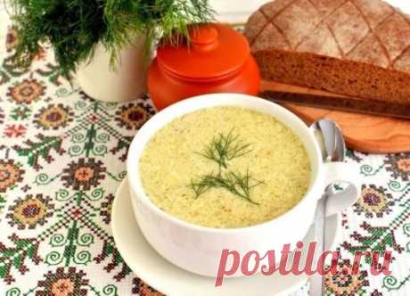 Груздянка по-летнему из свежих груздей
