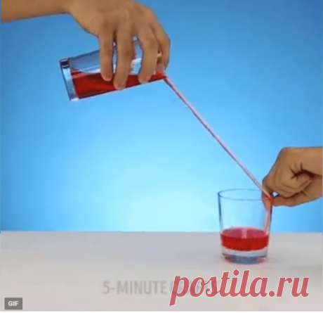 Классные эксперименты с которыми Ваш ребенок потянется к знаниям🤗