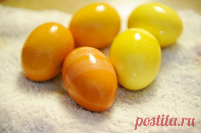 Как покрасить яйца куркумой на Пасху в домашних условиях | Народные знания от Кравченко Анатолия
