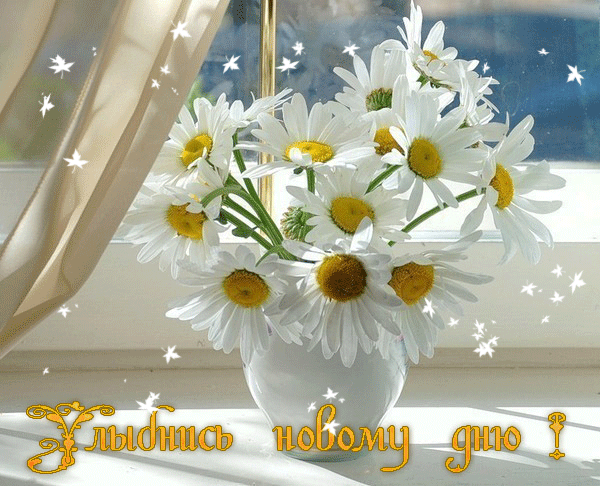 Мой Мир@Mail.Ru