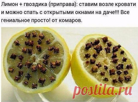 Интересные новости