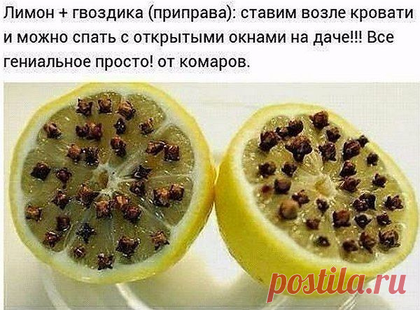 Интересные новости