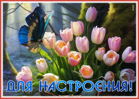 Дружелюбная гиф-открытка для настроения