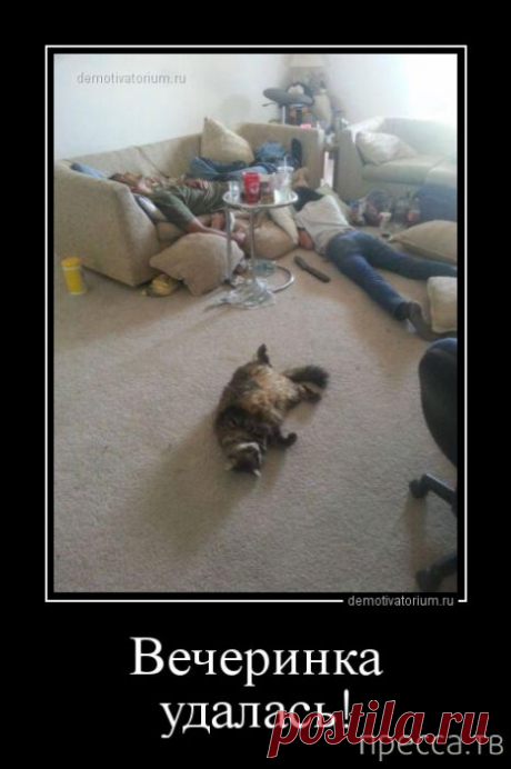 Счастье в мелочах