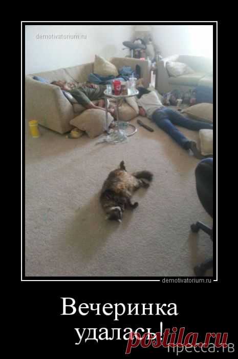 Счастье в мелочах