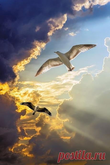 Подходит день к концу... и вечер опускается...
И в мареве густом... тускнеет солнца свет.
Всё хорошо, когда всё хорошо кончается...
Ведь будет утро новое и радужный рассвет!.