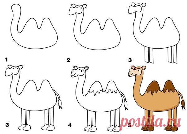 Учимся рисовать животных - Поделки с детьми | Деткиподелки