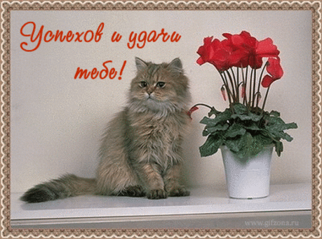 Осваиваем компьютер