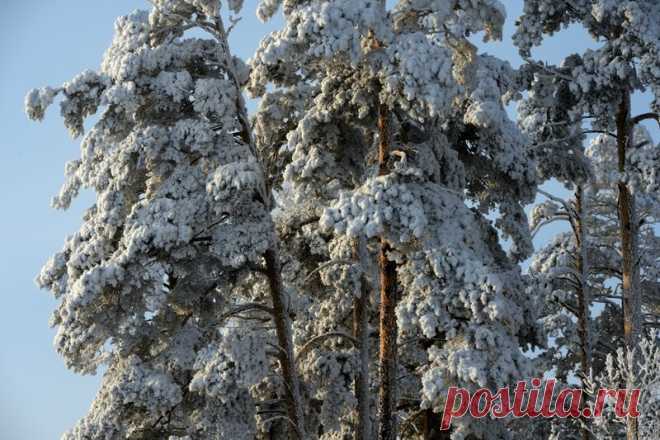 Девушка Зима из Берендеева царства