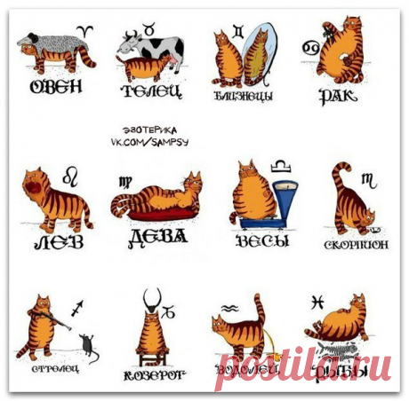 Психологические тесты | эзотерика, саморазвитие