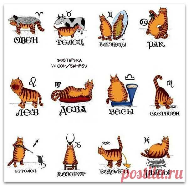 Психологические тесты | эзотерика, саморазвитие