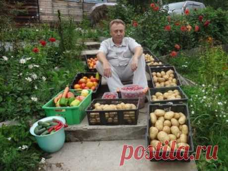Моя Дача