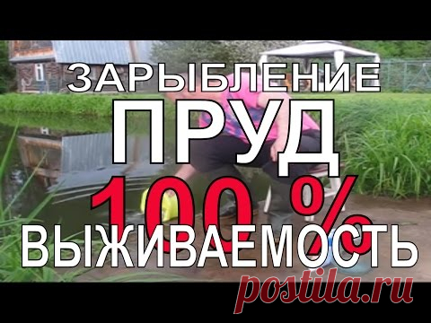 ЗАРЫБЛЕНИЕ ПРУДА КАРАСЕМ 100% РЕЗУЛЬТАТ на своём участке - YouTube