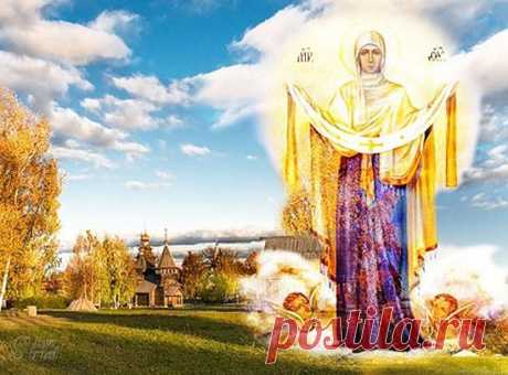 (50) Одноклассники