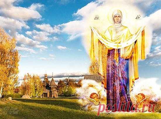 (50) Одноклассники