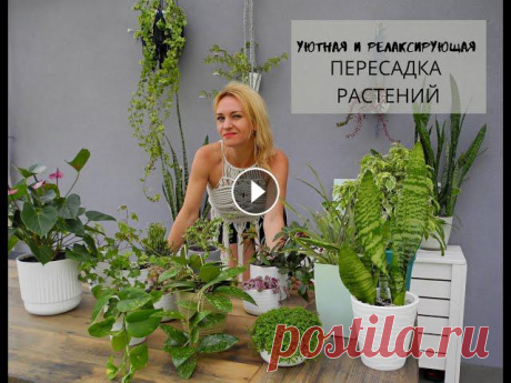 Уютная пересадка растений - смотрите и отдыхайте! Пересаживаю своих малышей-новичков.

песочник крючком для девочки