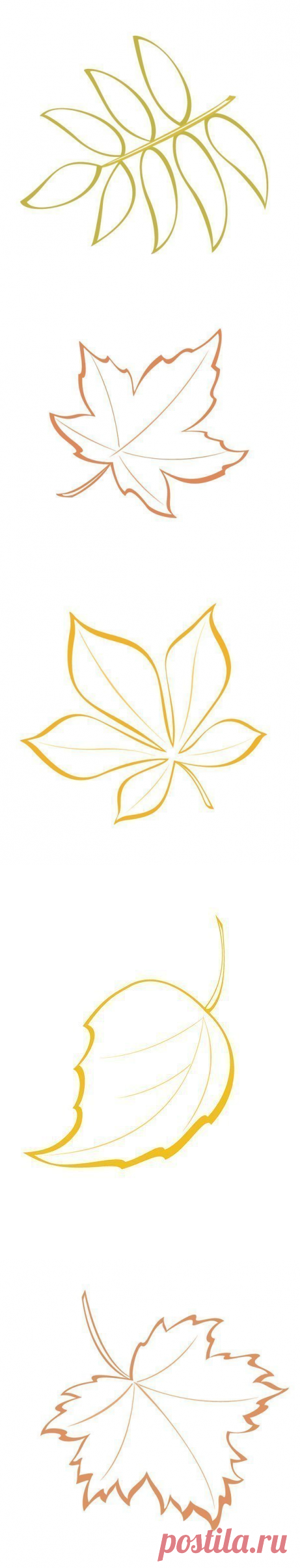 Красивые шаблоны осенних листьев для творчества — Поделки с детьми