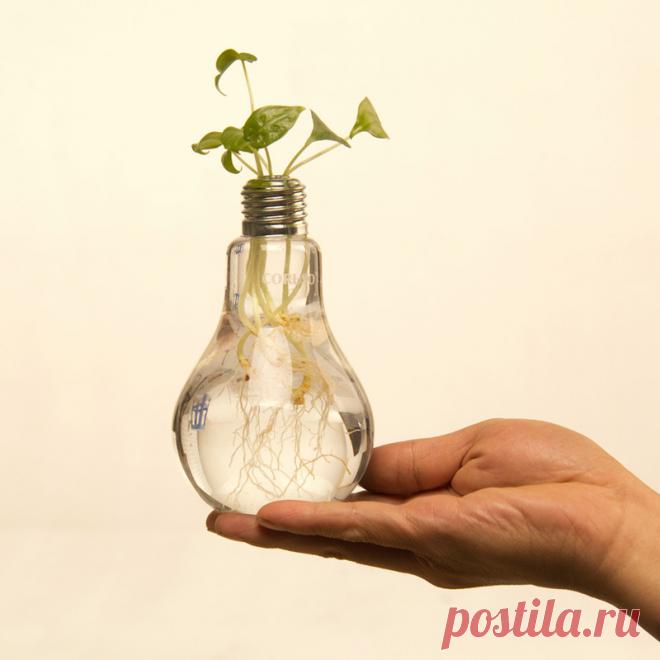 Самодельные вазы из лампочек | Flohouse