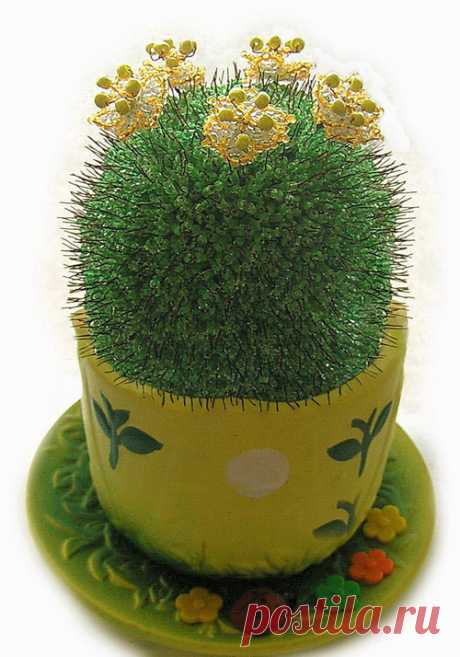 Кактус