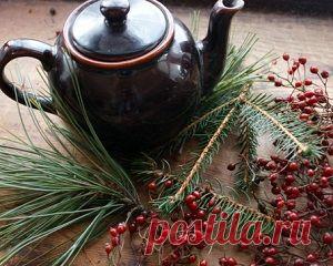 Старинное таежное средство для укрепления организма