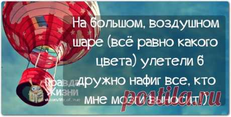 Позитивные фразочки в прикольных картинках. Всем отличного настроения! 


























