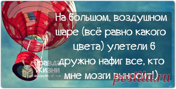 Позитивные фразочки в прикольных картинках. Всем отличного настроения! 


























