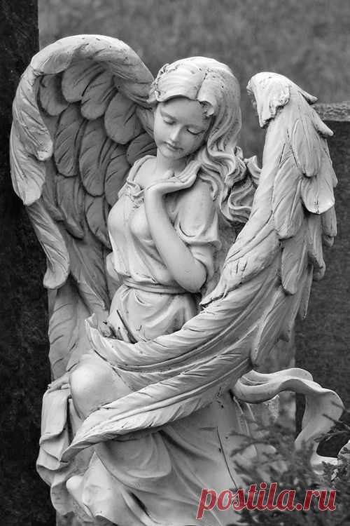 (11) Pinterest