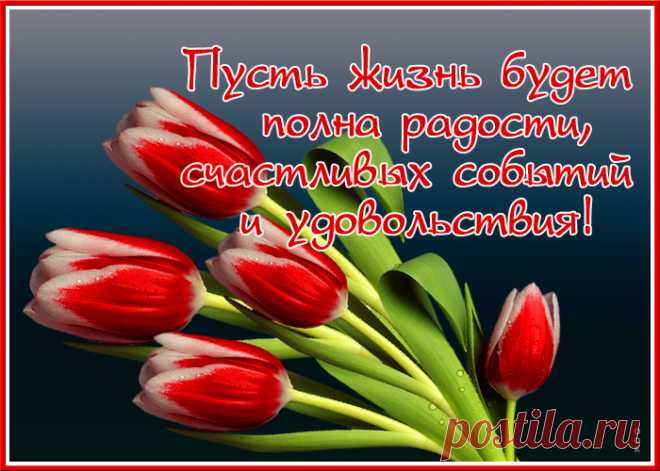 Необычная открытка с тюльпанами