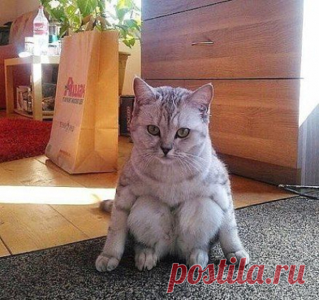 Вот так вот сидит всегда!!!