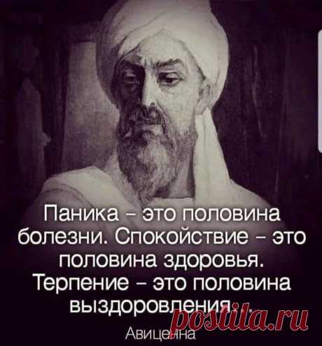 "Все наши болезни от лени и нервов!" Наставления придворного врача правителей Востока, Авиценна. | Ольга Многогранник. | Яндекс Дзен
