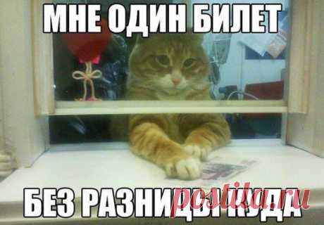 Мое настроение: