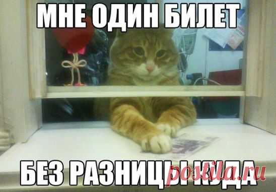 Мое настроение: