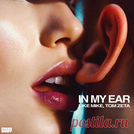 Like Mike, Tom Zeta - In My Ear [GR071BP] free download mp3 music 320kbps